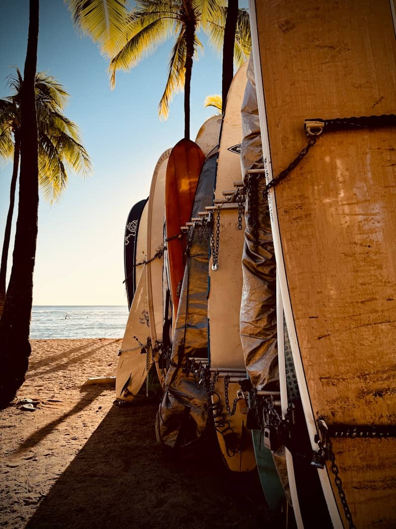 Surfboards lined up on a sunny beach.