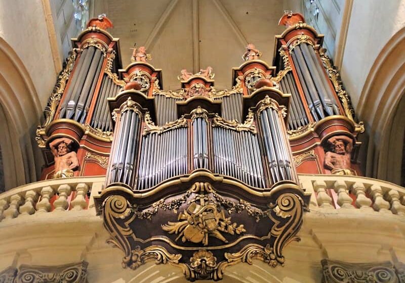 a gold and red organ